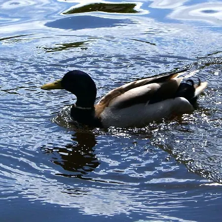 Appartement L'erdream Nantes