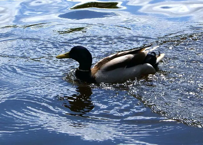 Apartmán L'erdream Nantes